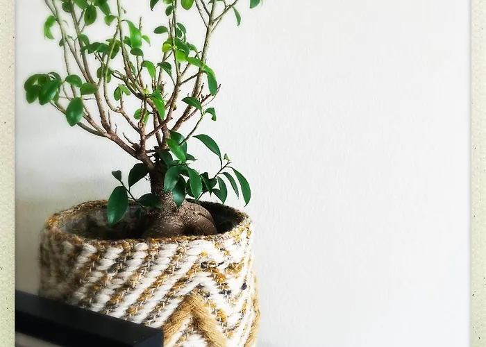 Cozy Two Bedroom Near Centre ヘント