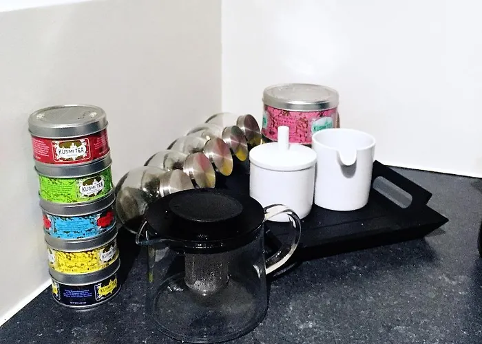 Cozy Two Bedroom Near Centre ヘント