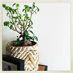 Cozy Two Bedroom Near Centre ヘント