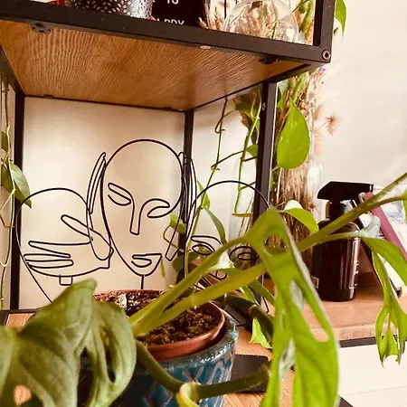 Cozy Two Bedroom Near Centre Apartment